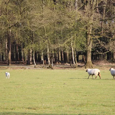 Sfeervolle Ingerichte Bell Tent, Tussen De Akkers En Dicht Bij Het Bos Campo de lujo Ledeacker