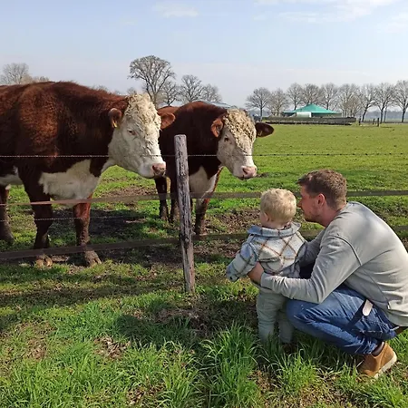 Campo de lujo Sfeervolle Ingerichte Bell Tent, Tussen De Akkers En Dicht Bij Het Bos Ledeacker