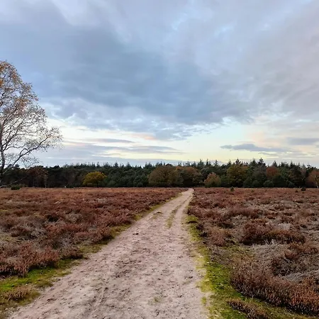 Sfeervolle Ingerichte Bell Tent, Tussen De Akkers En Dicht Bij Het Bos Campo de lujo