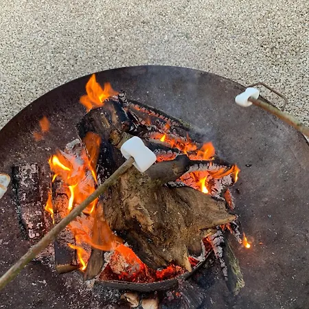 Campo de lujo Sfeervolle Ingerichte Bell Tent, Tussen De Akkers En Dicht Bij Het Bos Ledeacker
